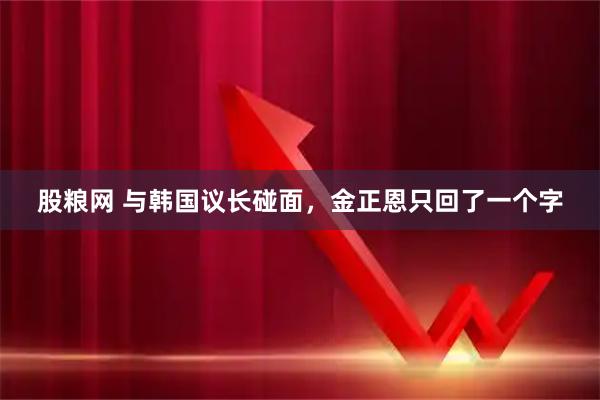 股粮网 与韩国议长碰面，金正恩只回了一个字