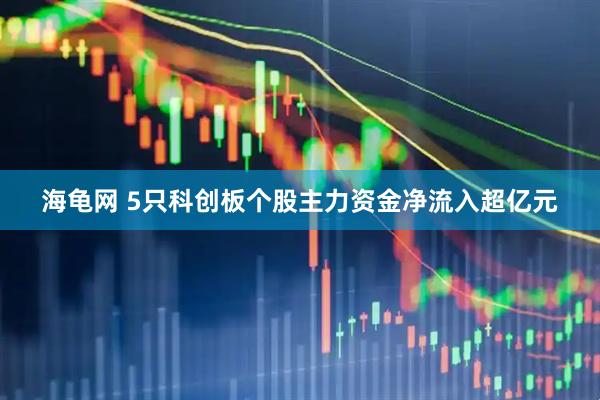 海龟网 5只科创板个股主力资金净流入超亿元