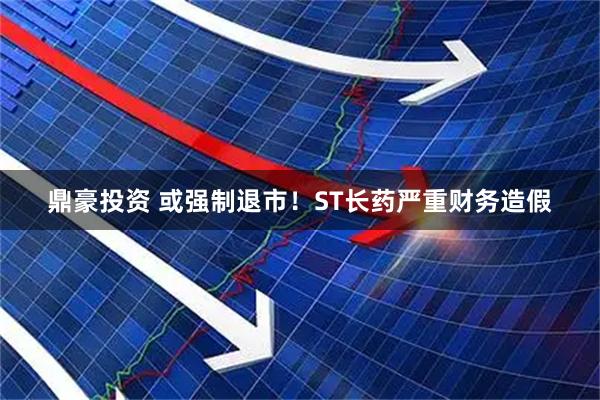 鼎豪投资 或强制退市！ST长药严重财务造假