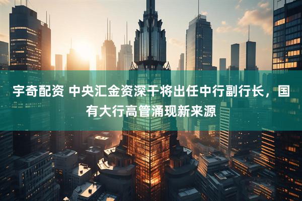 宇奇配资 中央汇金资深干将出任中行副行长，国有大行高管涌现新来源